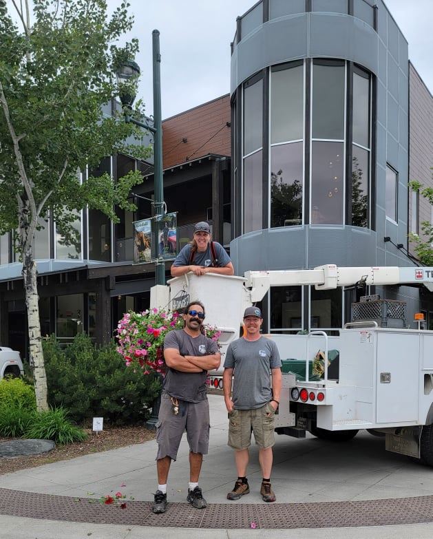 Flower Basket Hanging 2021