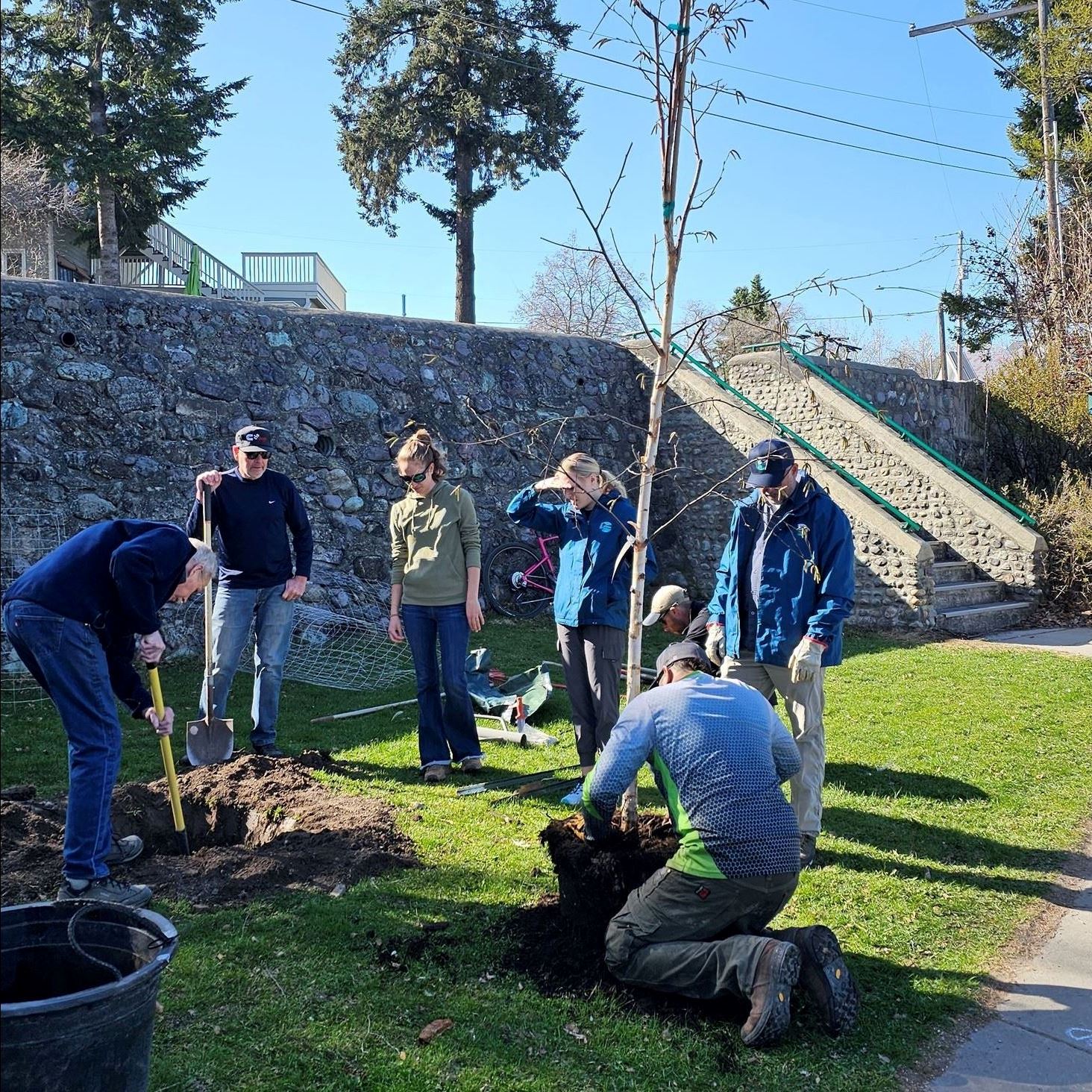 Arbor Day 2025 City Beach Paper Birch Planting