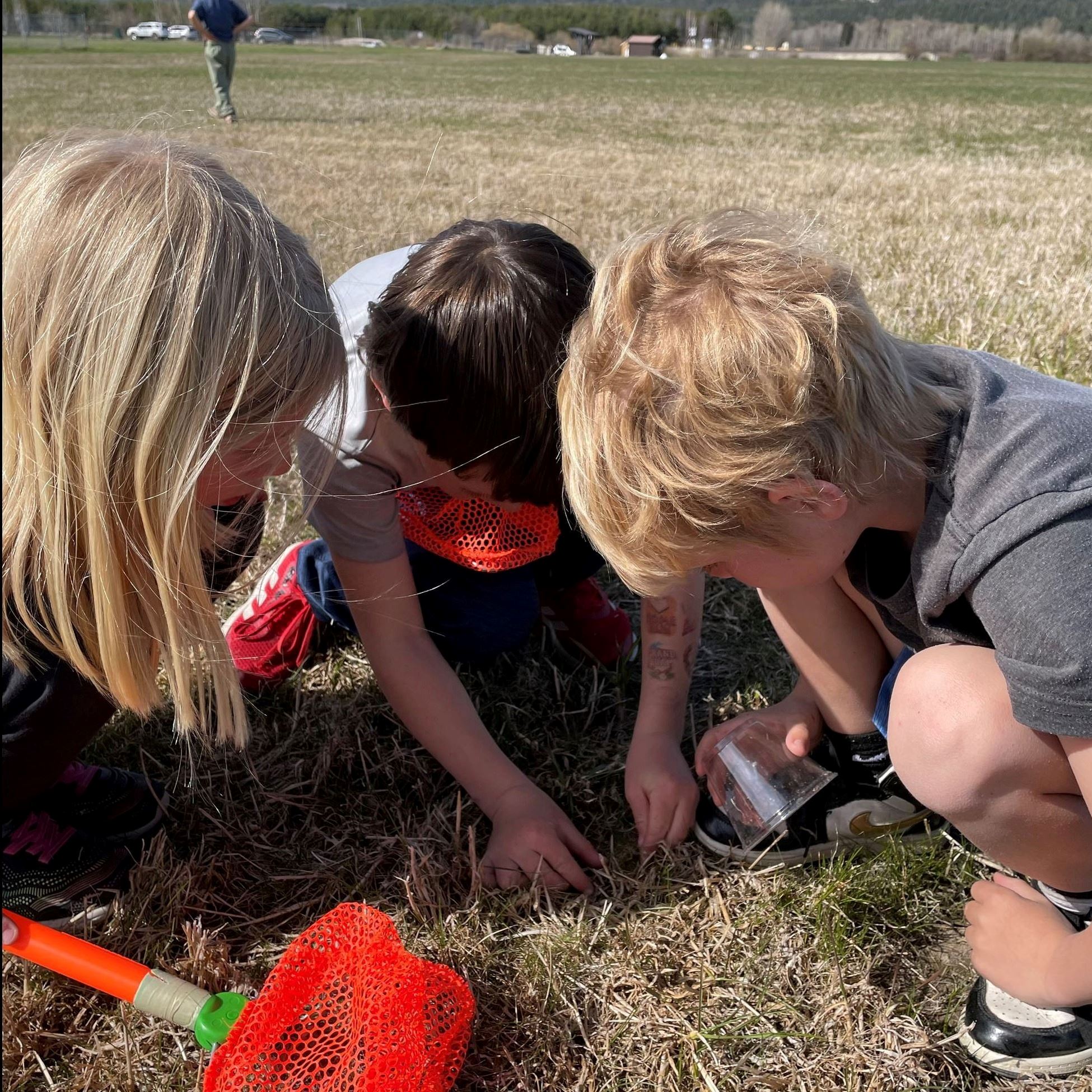 Catching grasshoppers