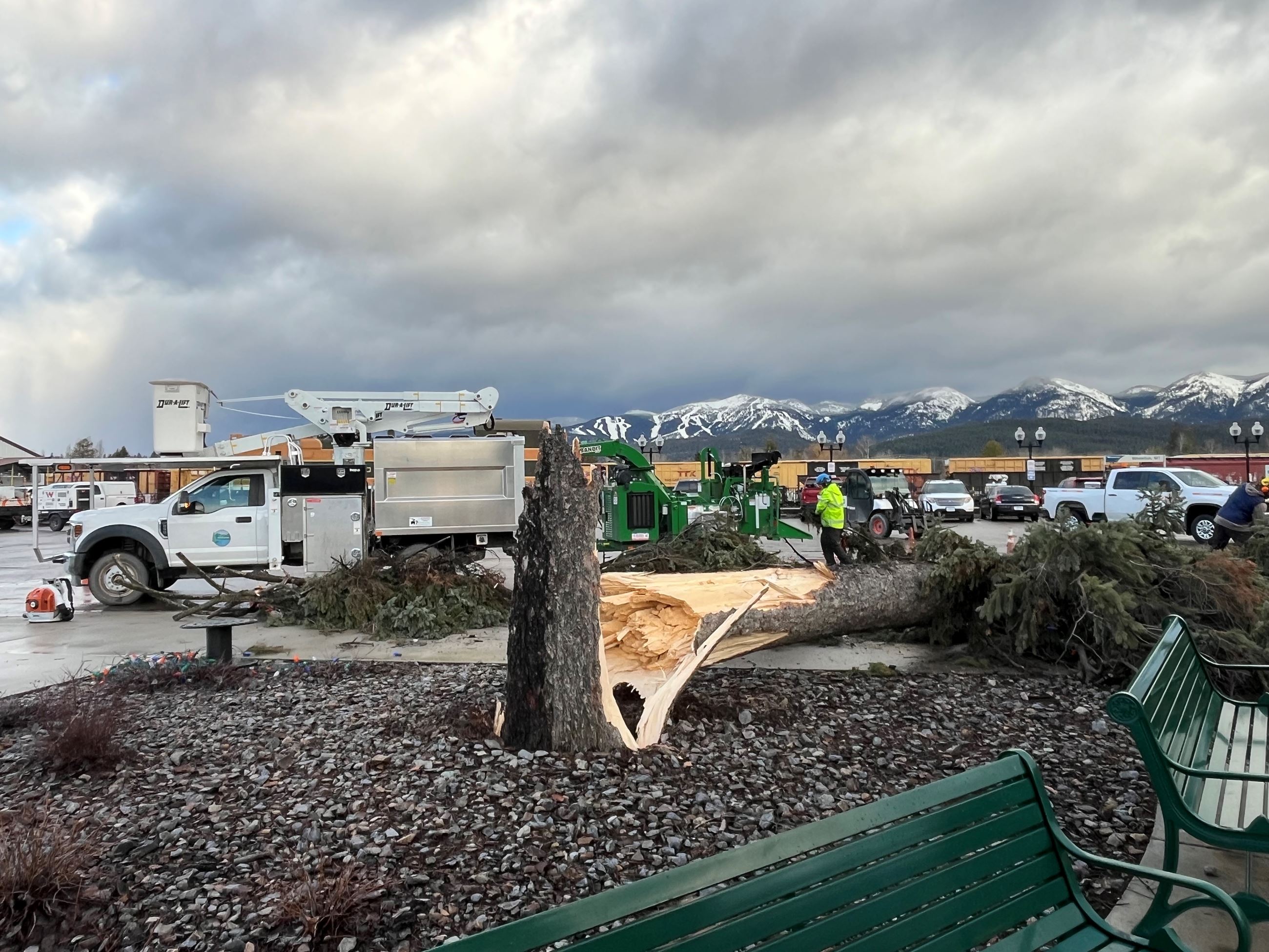Depot Park Tree Down 12-17-2025