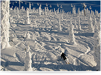 Snowy slopes with tracks from people skiing