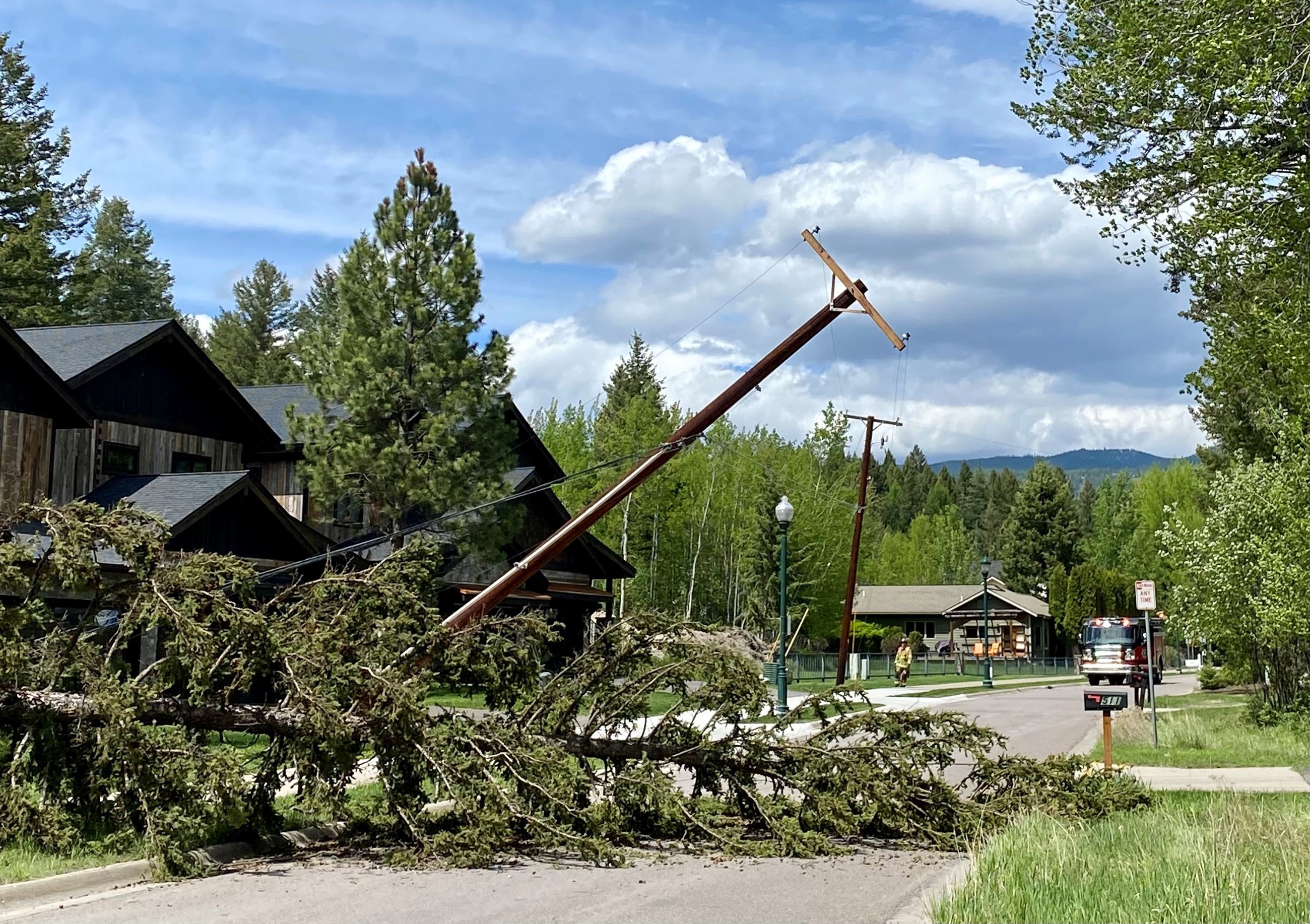 Power Line Emergency