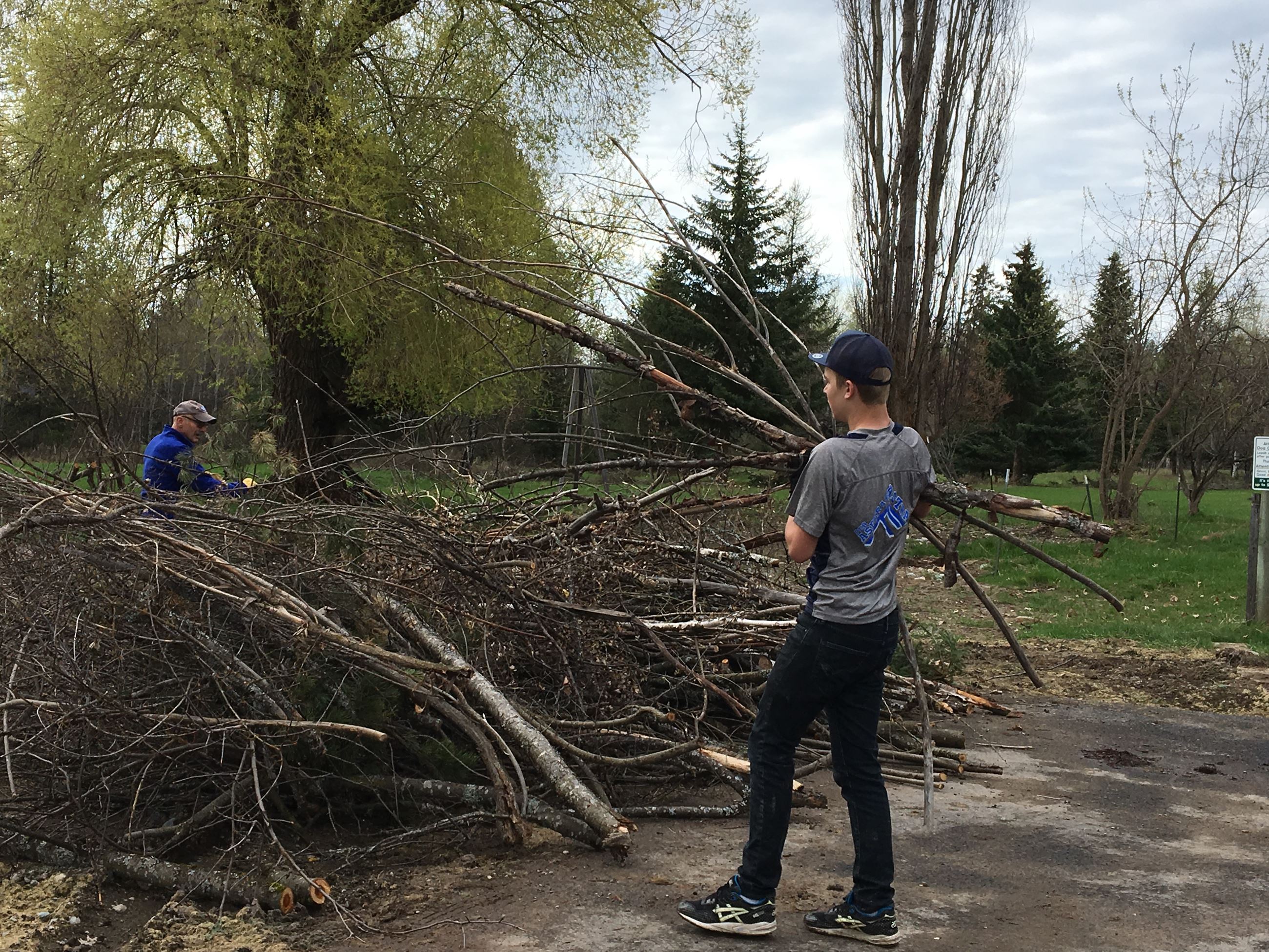 Volunteer at Bakke Nature Reserve